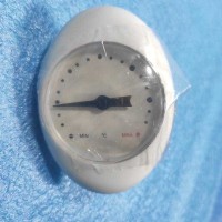 Термометр Magnum